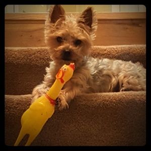 Meet your Posher, Stephanie